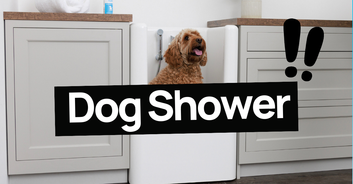 Dog in a Dog Shower