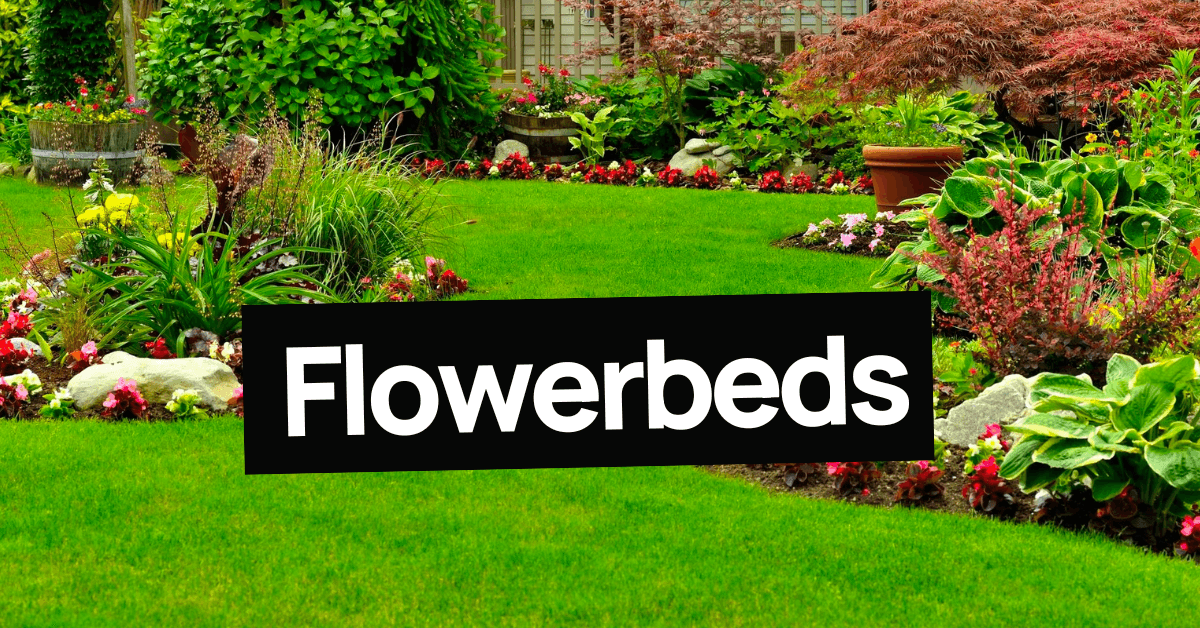 flowerbeds in a garden